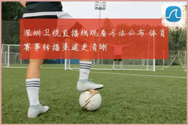 深圳卫视直播线观看方法公布 体育赛事转播渠道更清晰