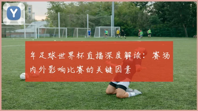 年足球世界杯直播深度解读：赛场内外影响比赛的关键因素